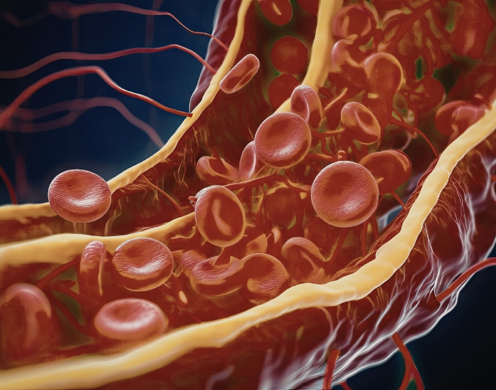 Reduced Blood Flow Symptoms: Early Warning Signs and the Rise of Circulation-Based Treatment